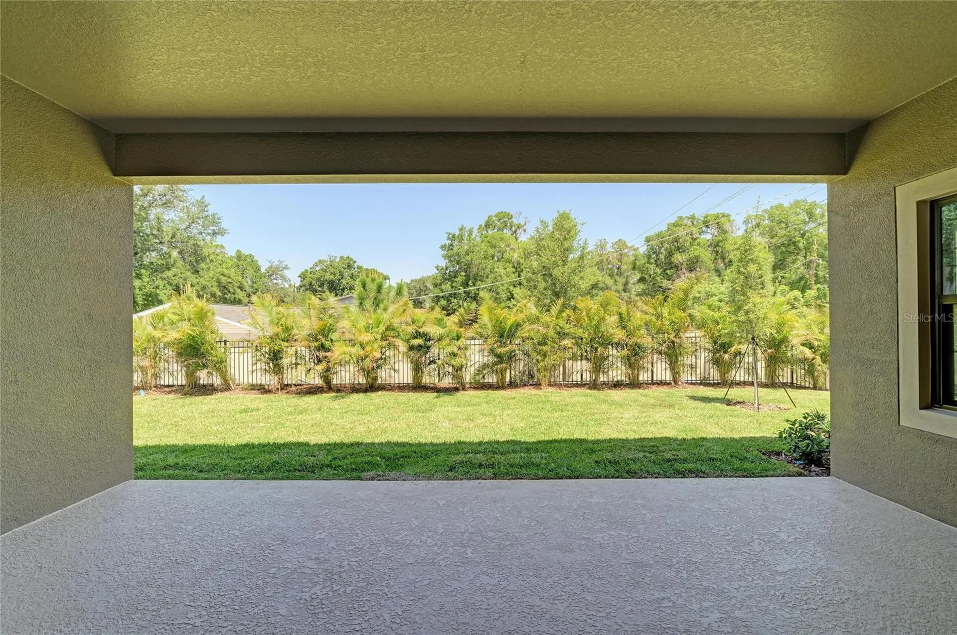 4636 Cedar Fog Ct Drive Valrico FL 33596