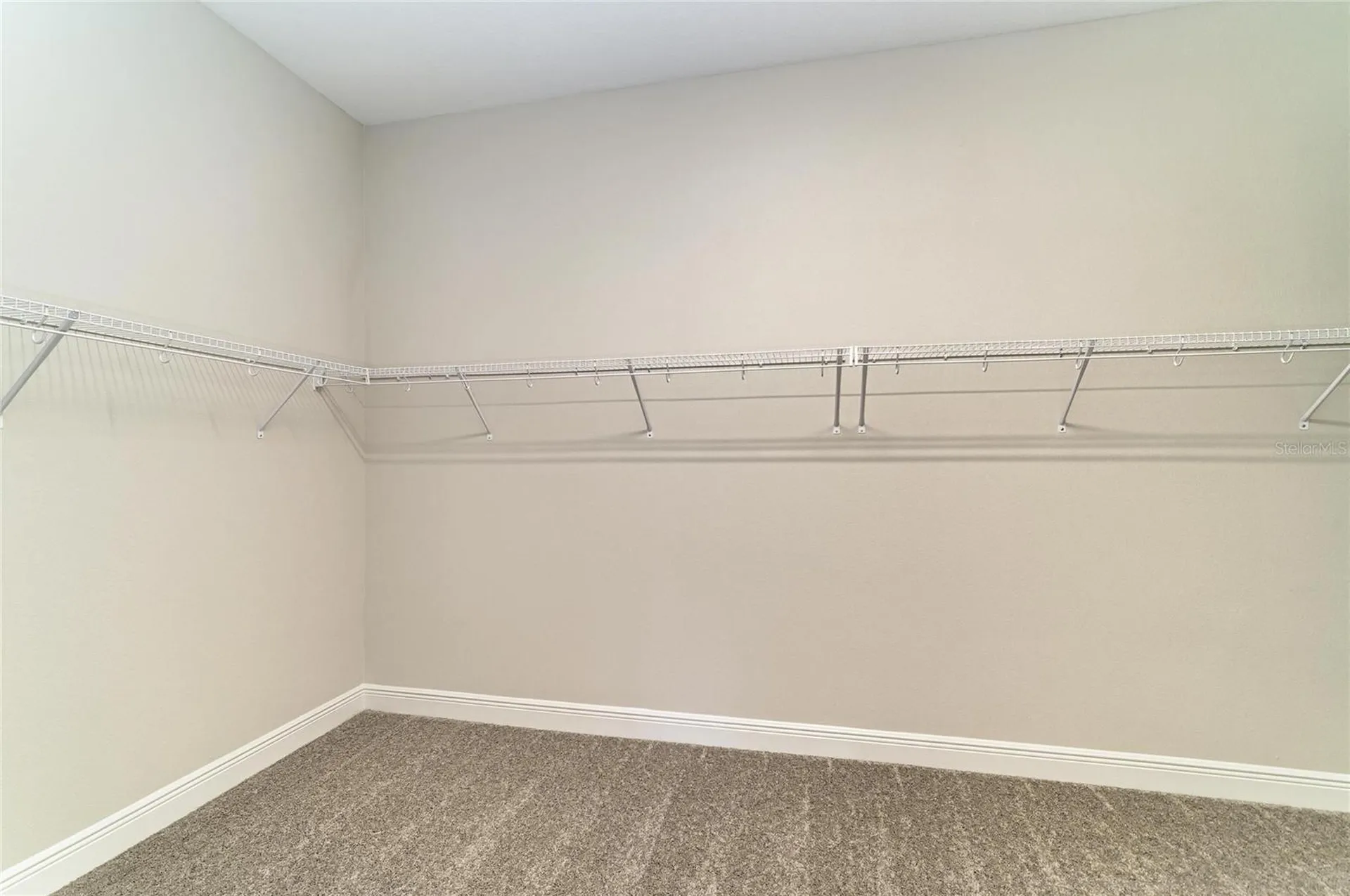 4636 Cedar Fog Ct Drive Valrico FL 33596