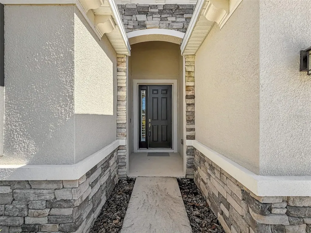16619 Mooner Plank Circle Wimauma FL 33598