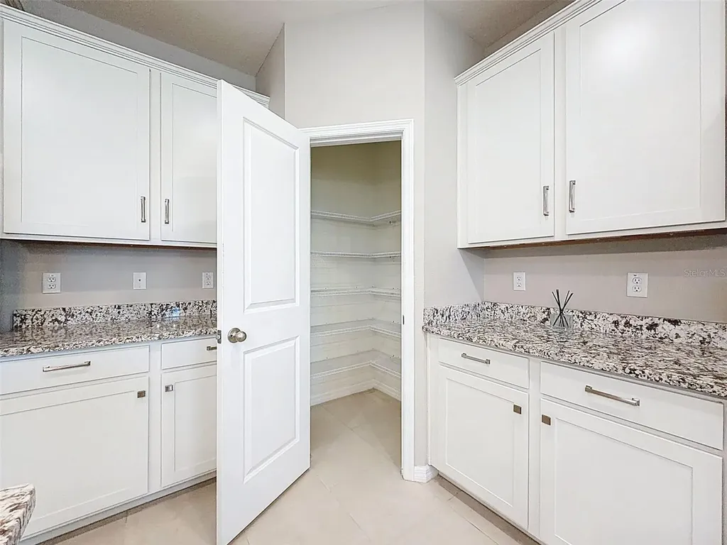 16619 Mooner Plank Circle Wimauma FL 33598
