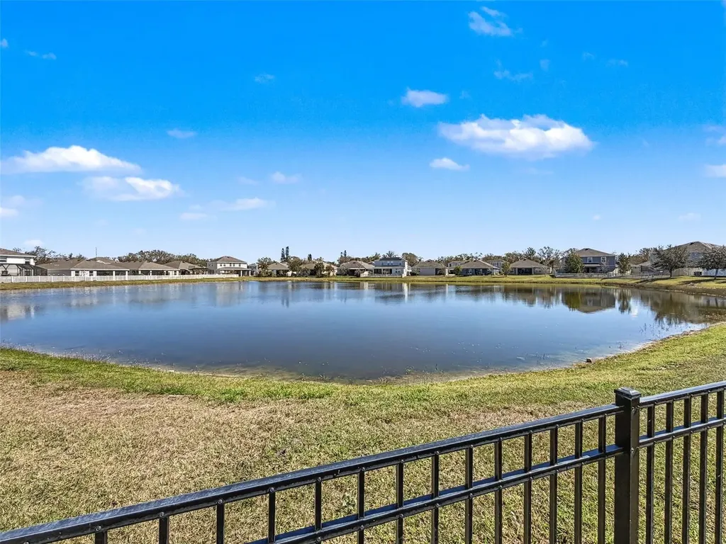 16619 Mooner Plank Circle Wimauma FL 33598
