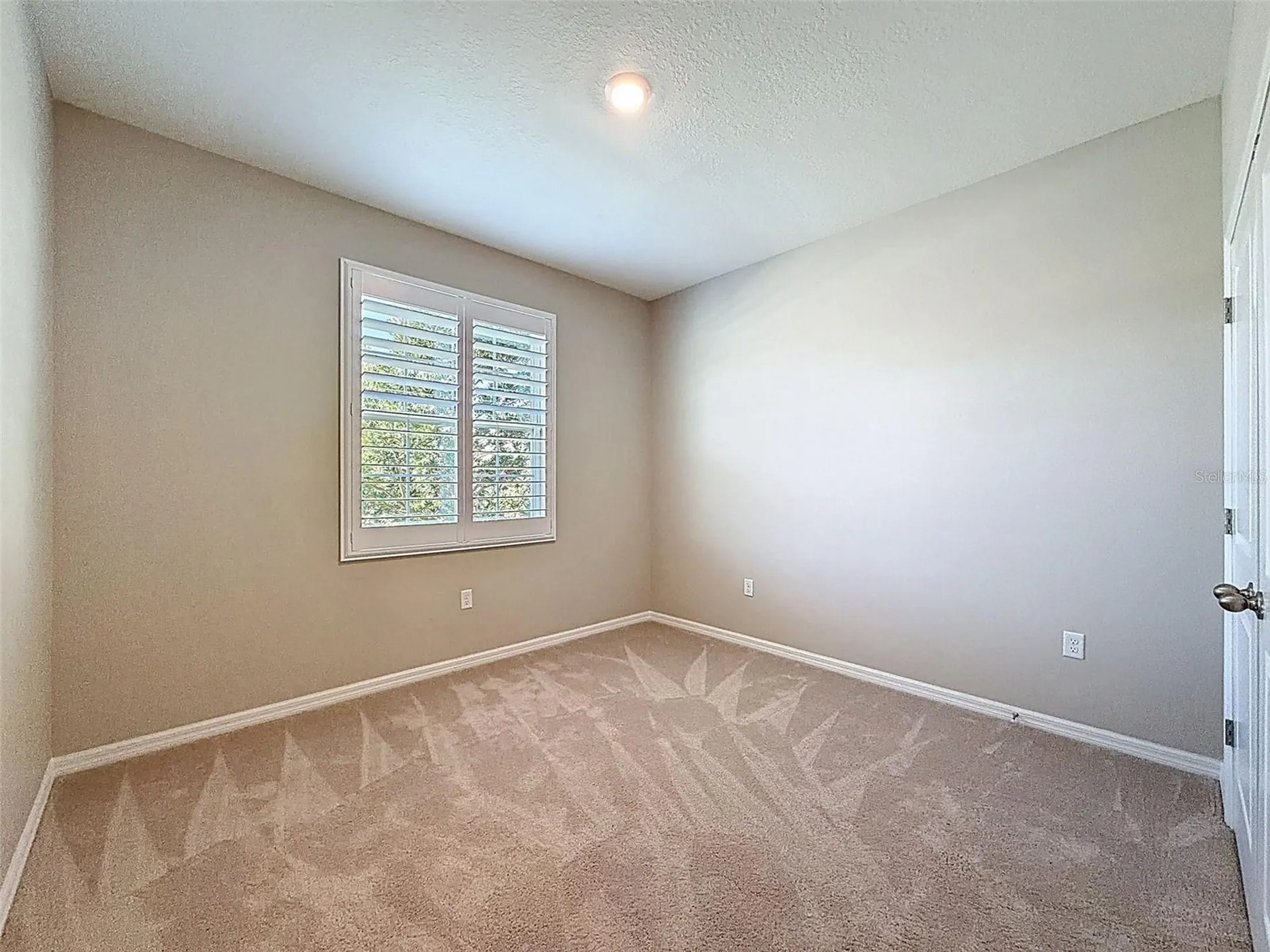16619 Mooner Plank Circle Wimauma FL 33598