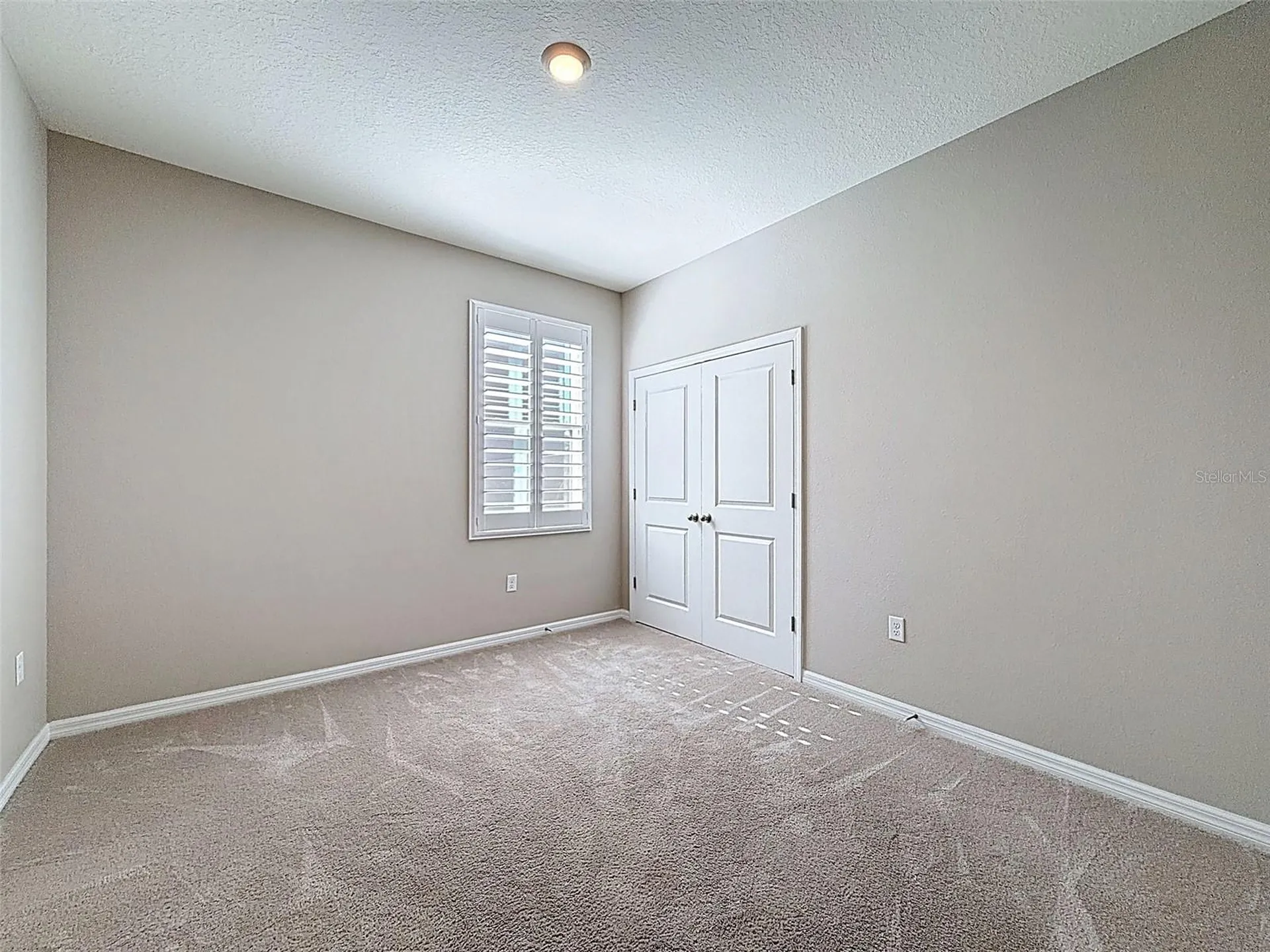 16619 Mooner Plank Circle Wimauma FL 33598