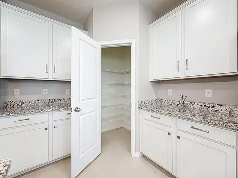 16619 Mooner Plank Circle Wimauma FL 33598