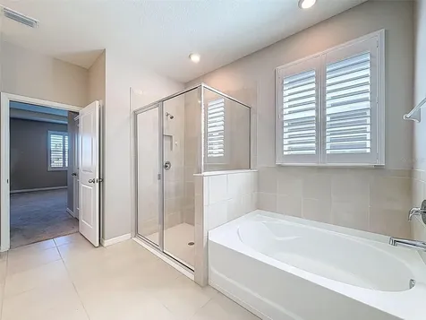 16619 Mooner Plank Circle Wimauma FL 33598