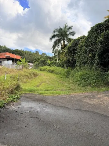 Cta. Abajo Bo. Barrazas Carolina PR 00987