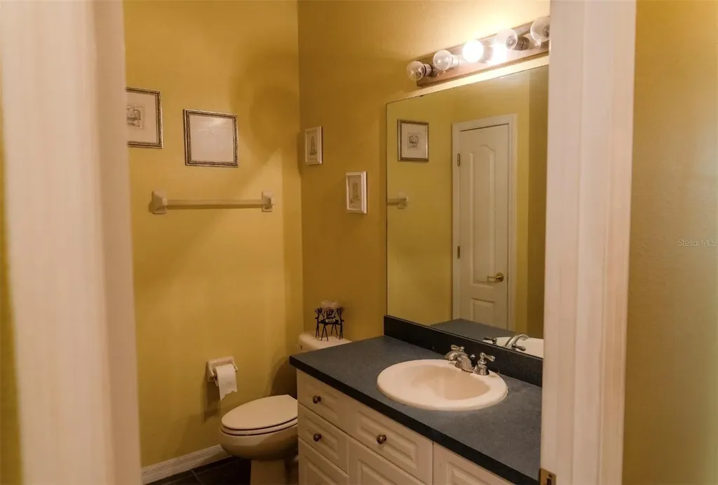 6673 Duncaster Street Windermere FL 34786