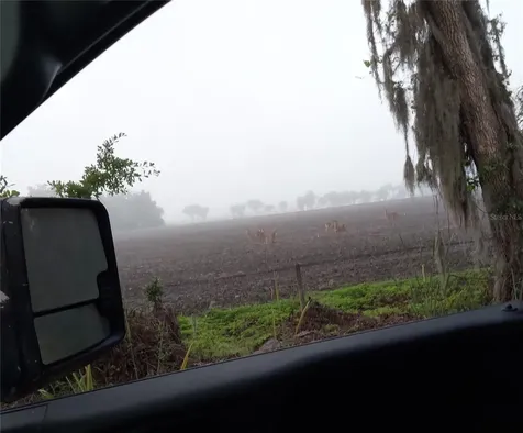 1823 Welcome Road Lithia FL 33547
