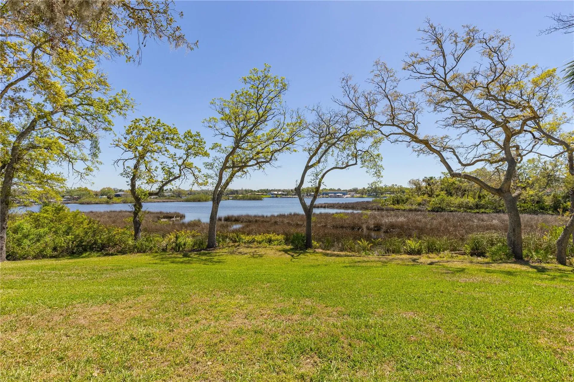 8910 Eagle Watch Drive Riverview FL 33578