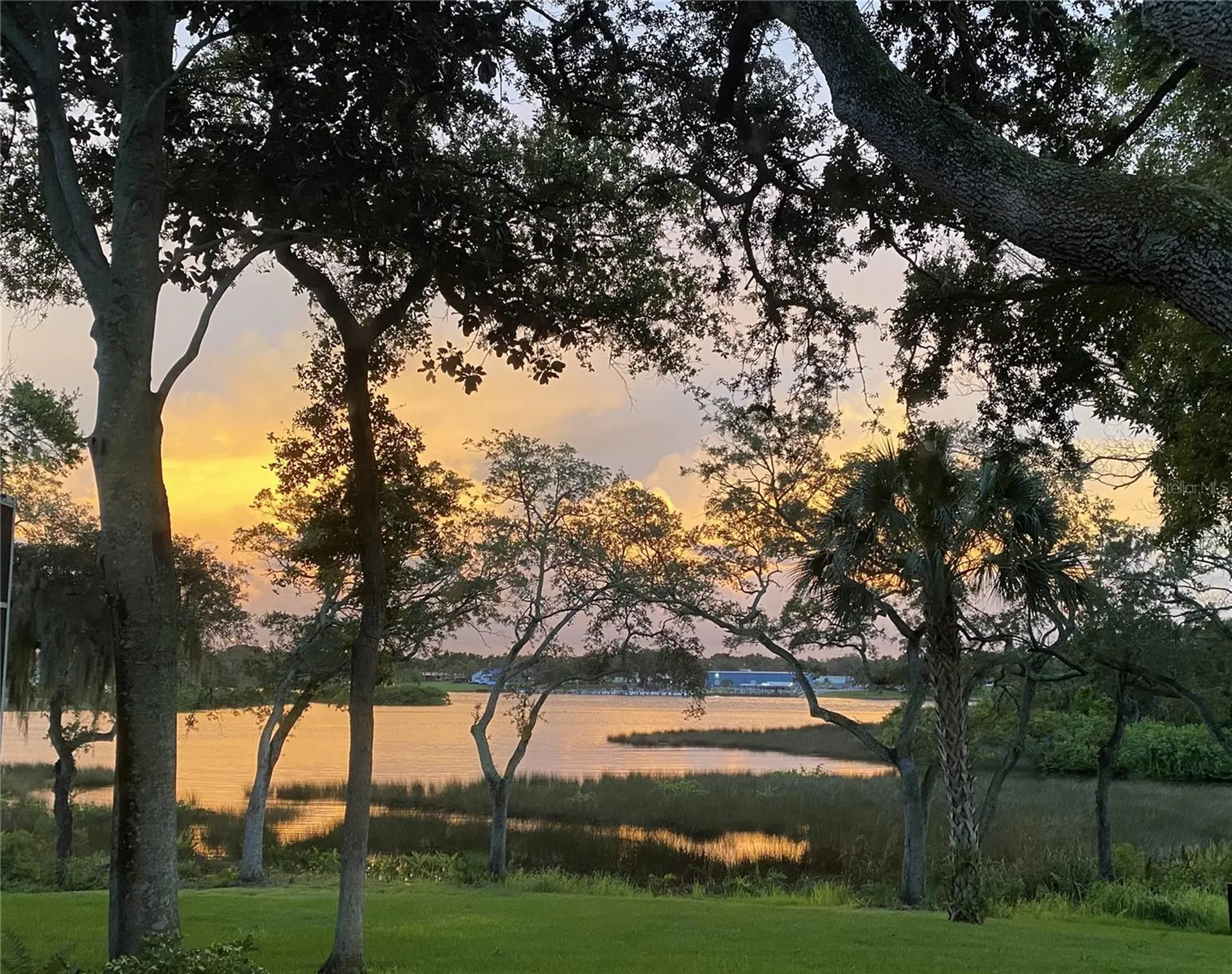 8910 Eagle Watch Drive Riverview FL 33578