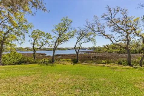 8910 Eagle Watch Drive Riverview FL 33578