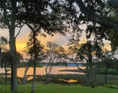 8910 Eagle Watch Drive Riverview FL 33578