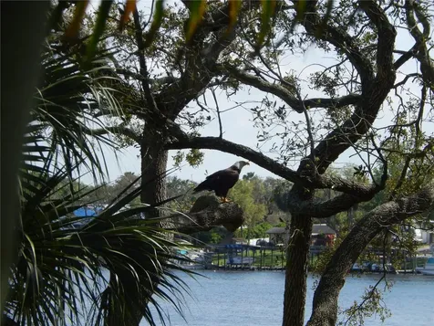 8910 Eagle Watch Drive Riverview FL 33578