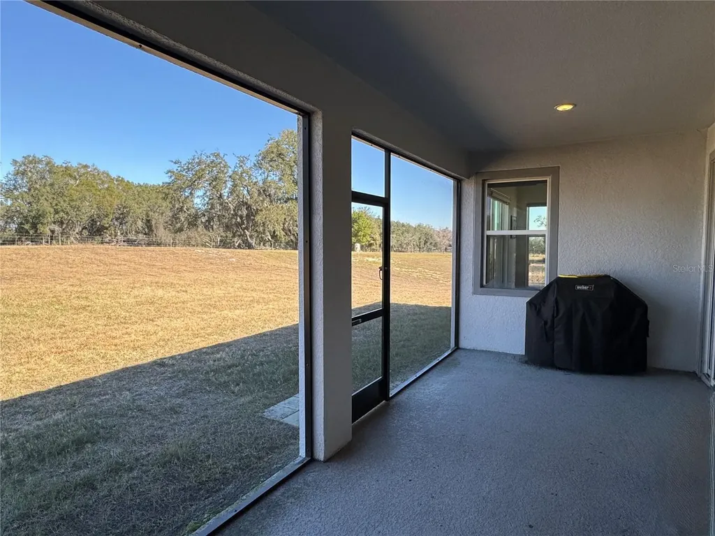 10190 Dolphin Gull Circle Thonotosassa FL 33592
