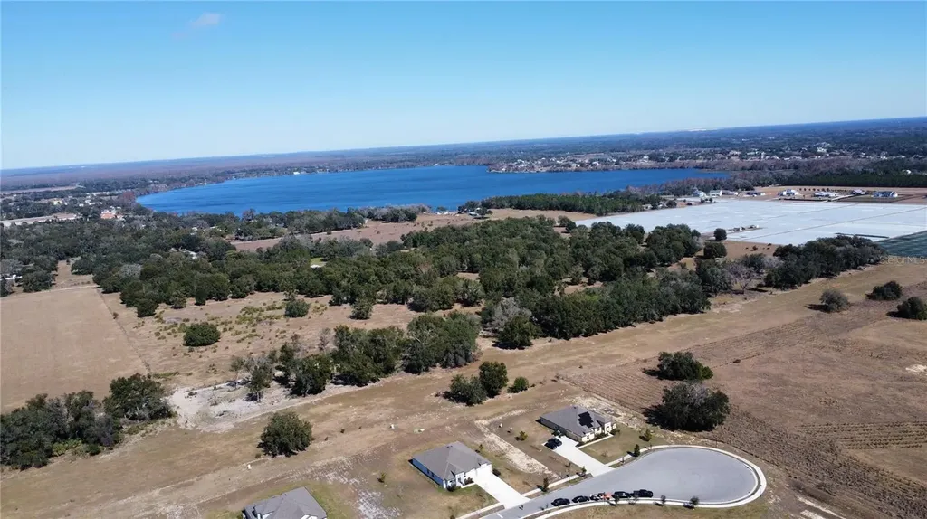 10190 Dolphin Gull Circle Thonotosassa FL 33592