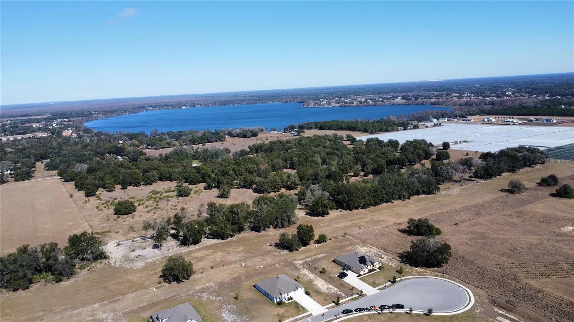 10190 Dolphin Gull Circle Thonotosassa FL 33592