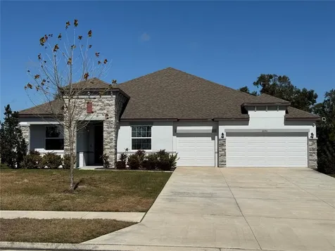10190 Dolphin Gull Circle Thonotosassa FL 33592