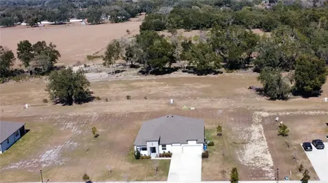 10190 Dolphin Gull Circle Thonotosassa FL 33592