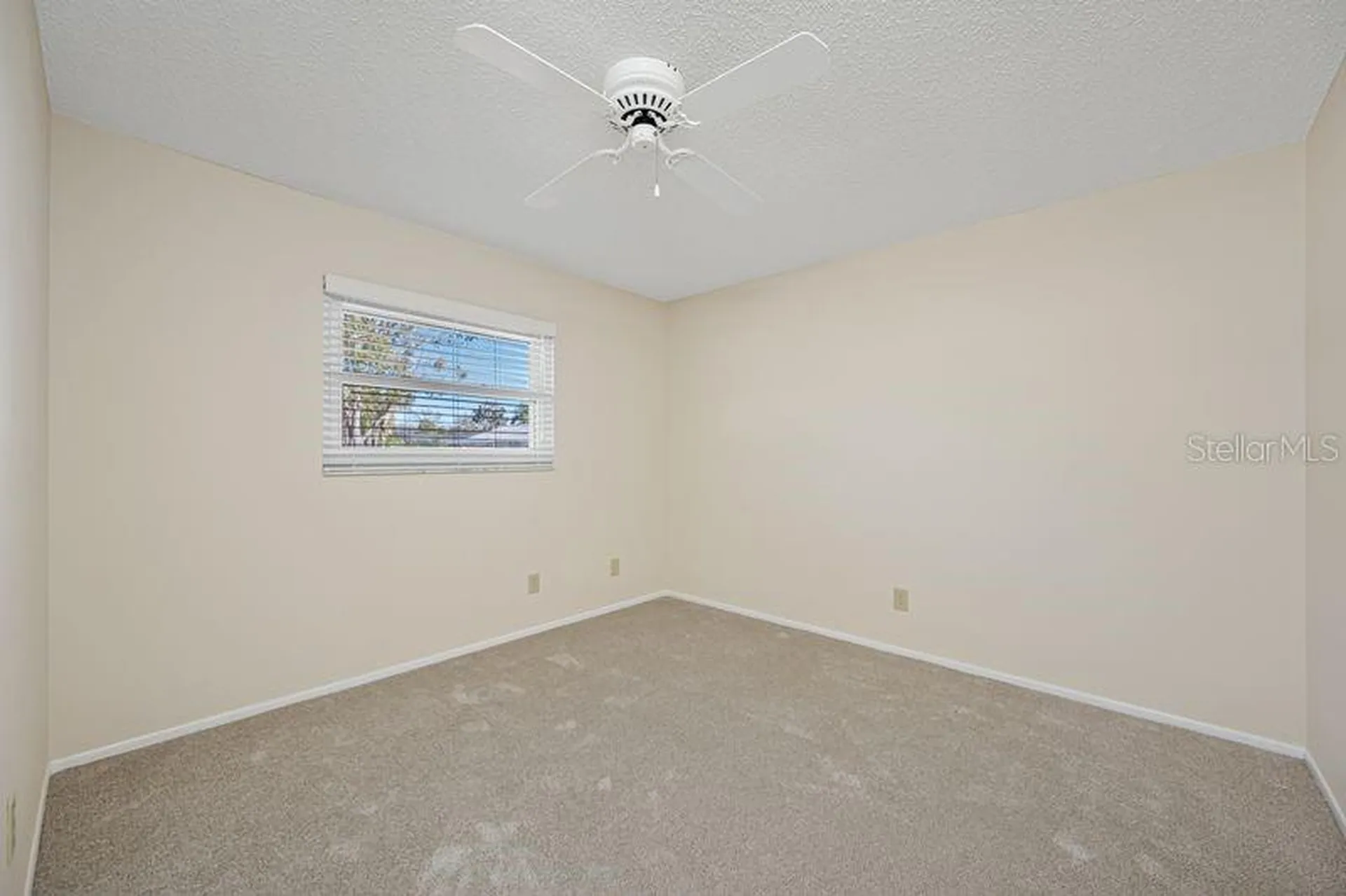 3241 Buckhorn Drive Clearwater FL 33761