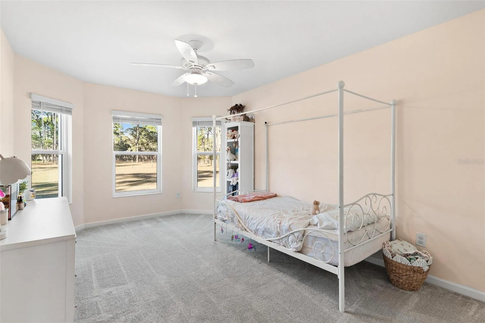 2495 County Road 245d Oxford FL 34484