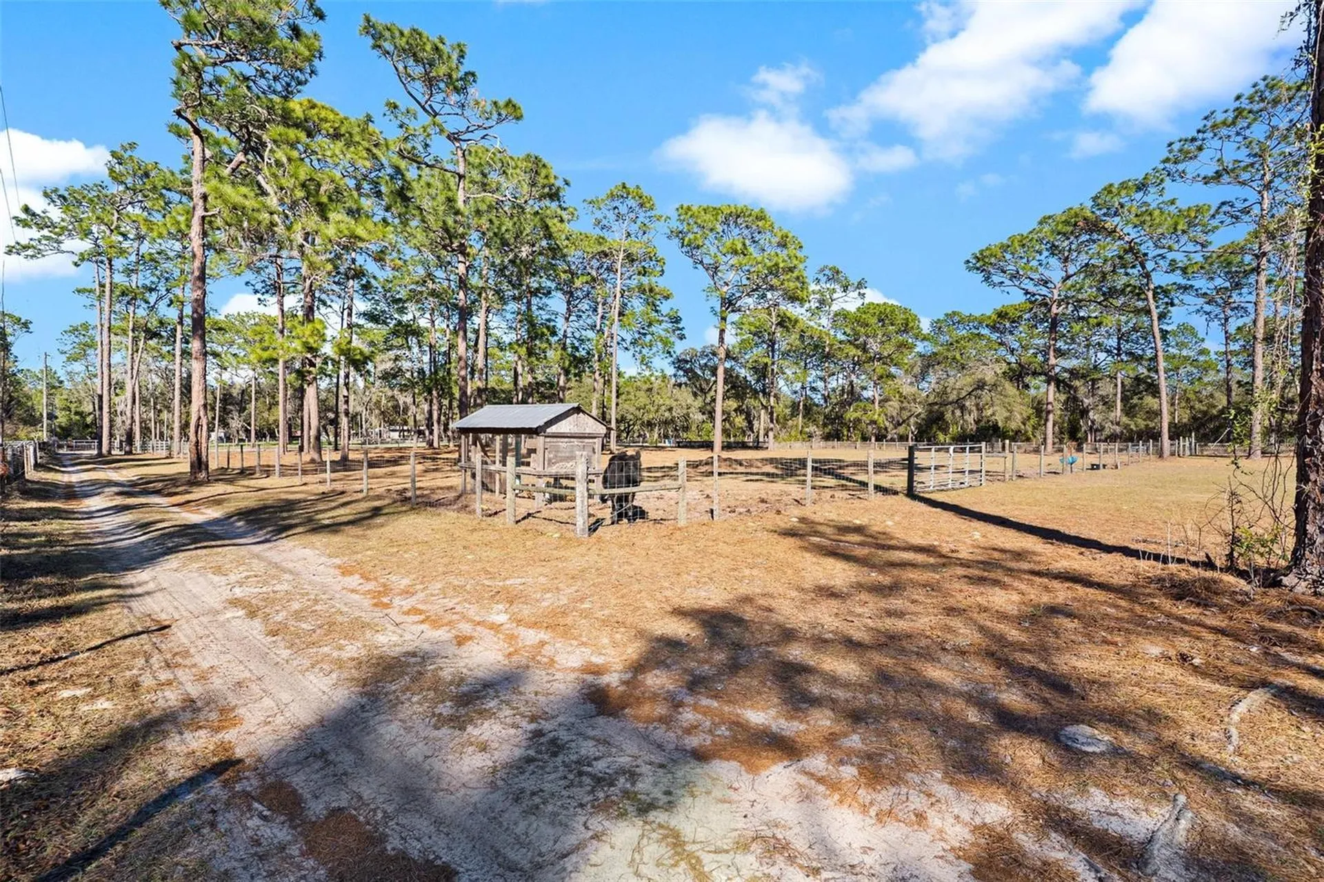 2495 County Road 245d Oxford FL 34484