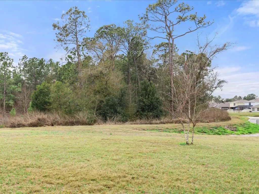 2891 Lotus Flower Trail Wesley Chapel FL 33543