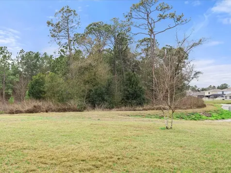 2891 Lotus Flower Trail Wesley Chapel FL 33543