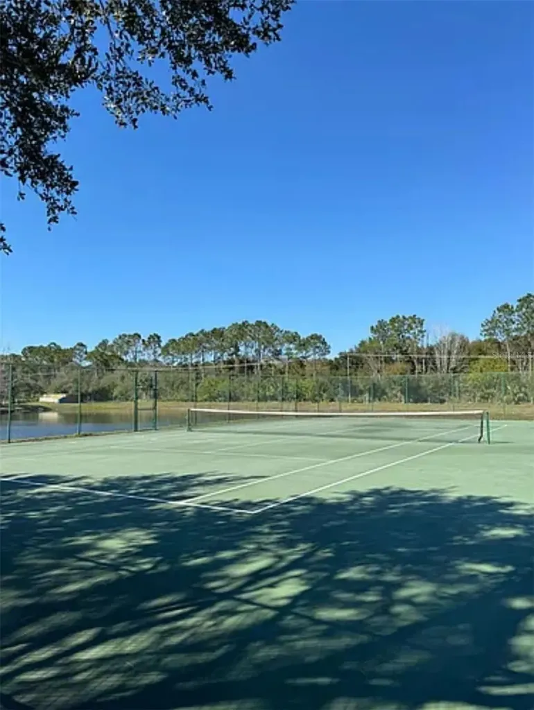 9820 Lake Chase Island Way Tampa FL 33626