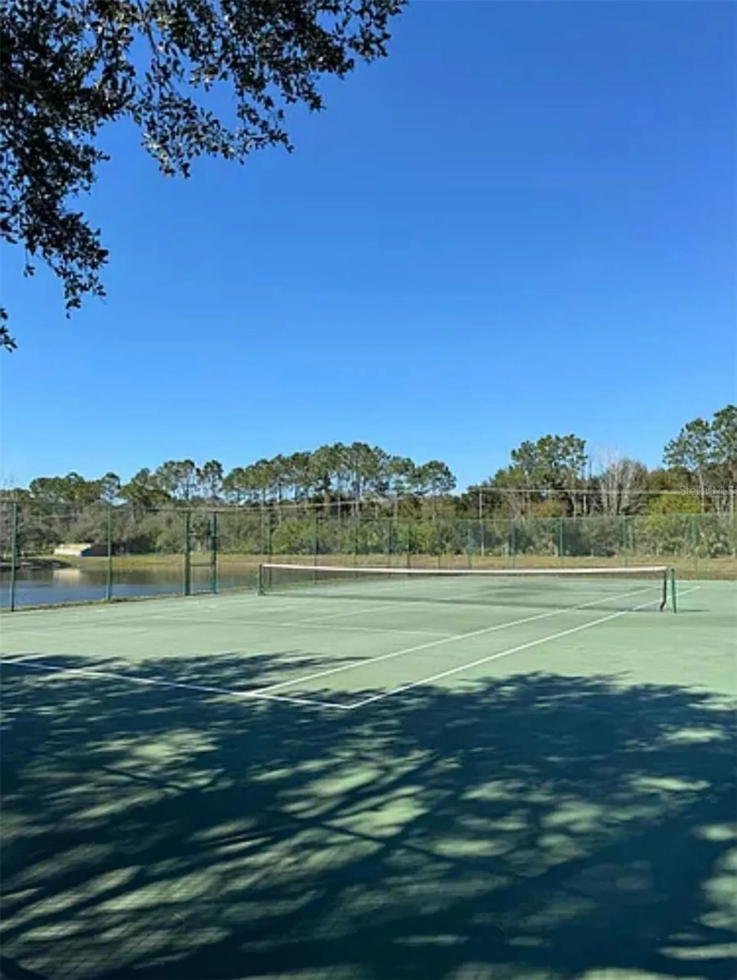 9820 Lake Chase Island Way Tampa FL 33626