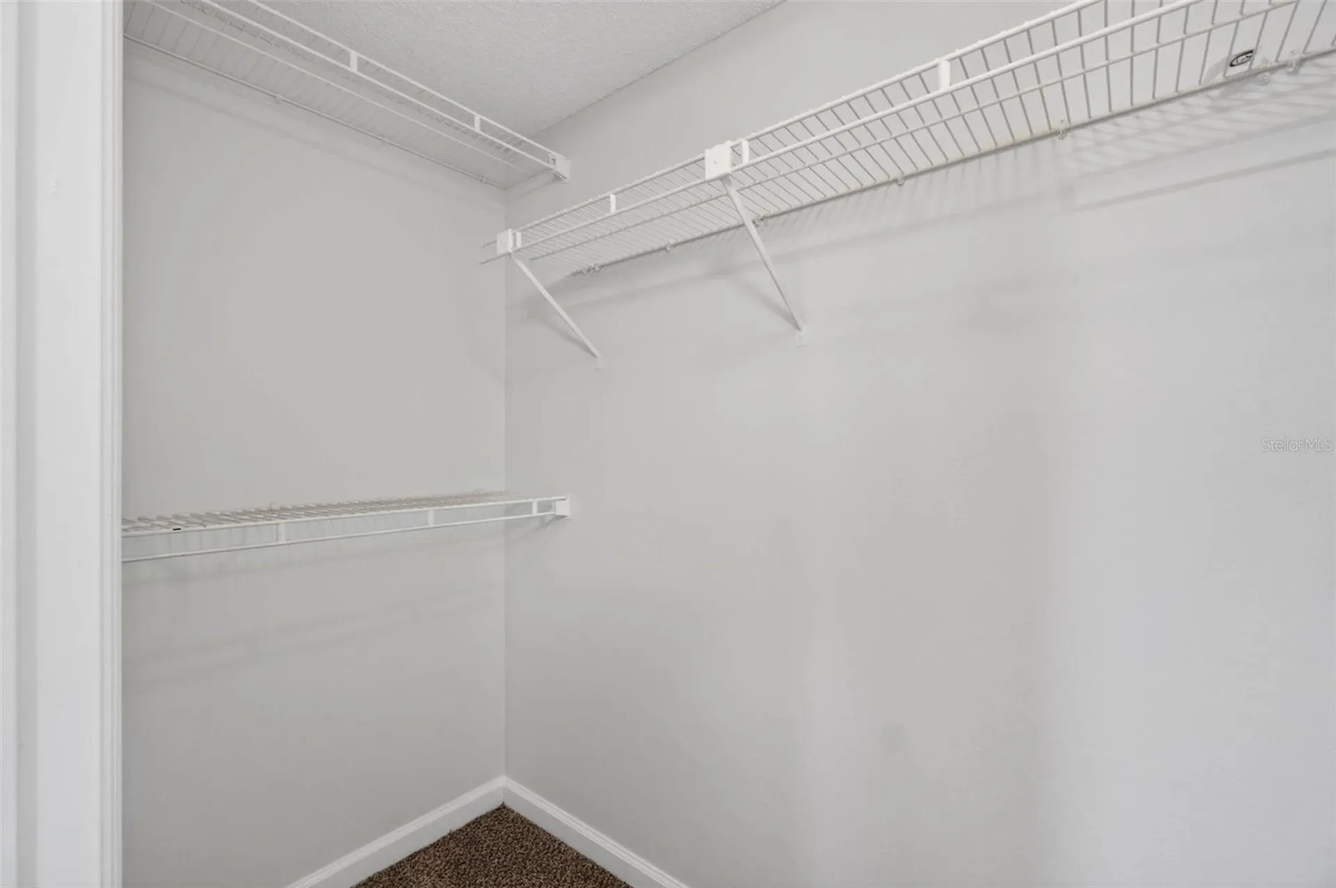 2500 Winding Creek Boulevard Clearwater FL 33761