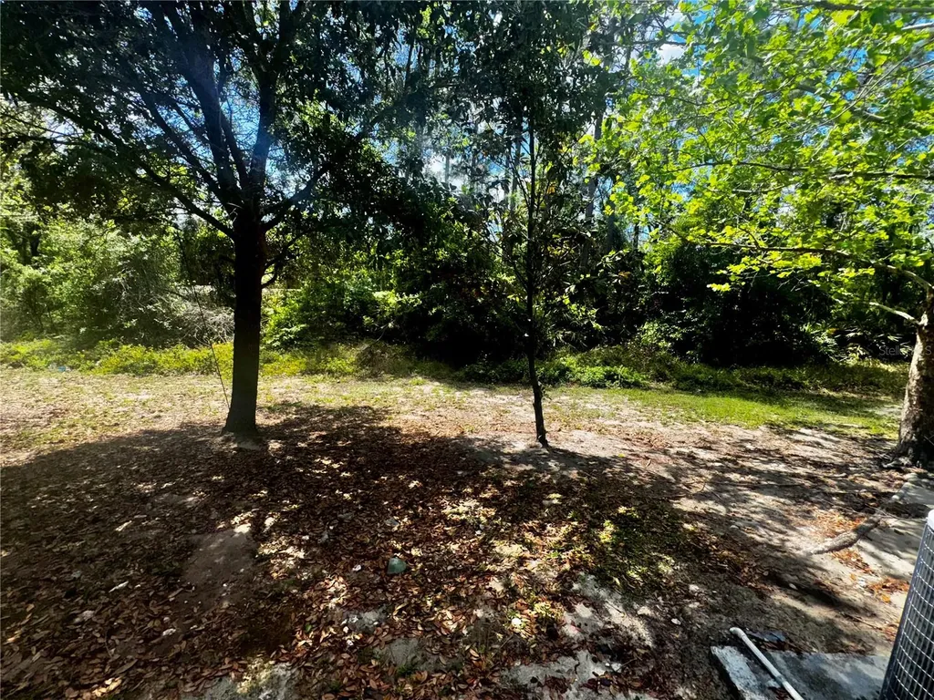 2896 Tanzanite Terrace Kissimmee FL 34758