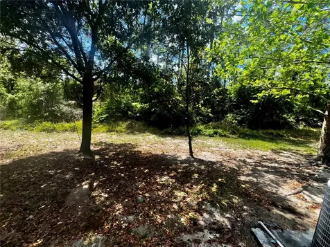 2896 Tanzanite Terrace Kissimmee FL 34758