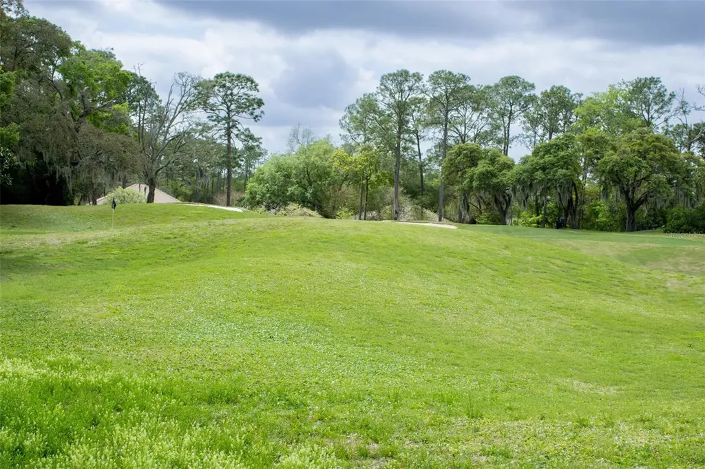 3030 W Bermuda Dunes Drive Lecanto FL 34461