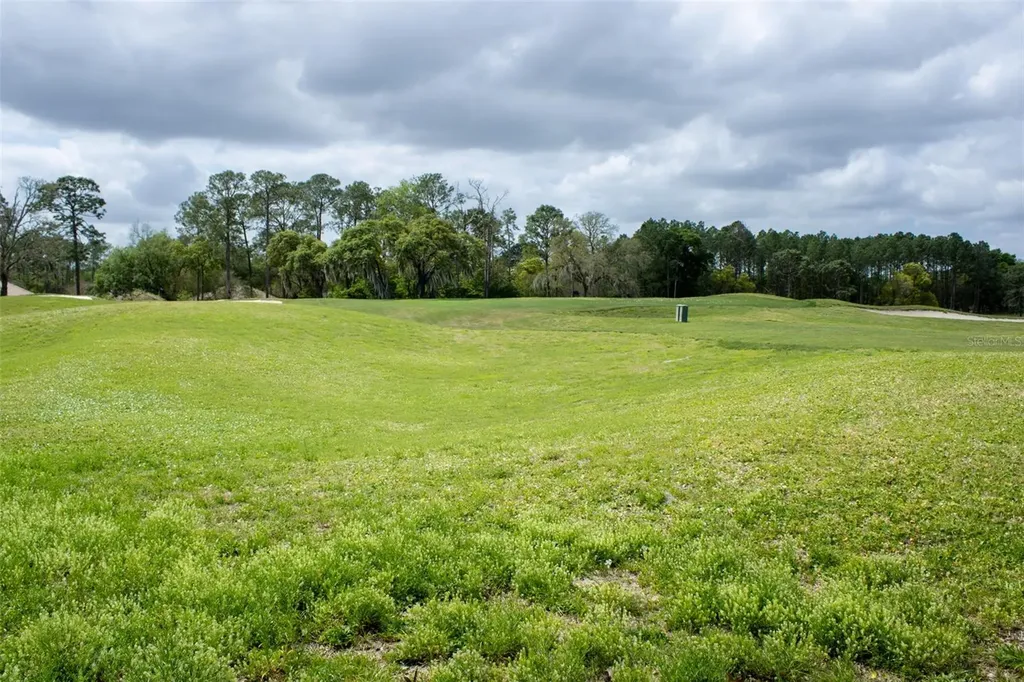 3030 W Bermuda Dunes Drive Lecanto FL 34461
