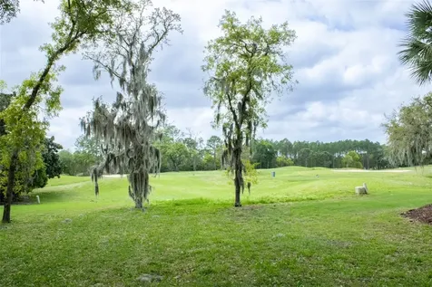 3030 W Bermuda Dunes Drive Lecanto FL 34461