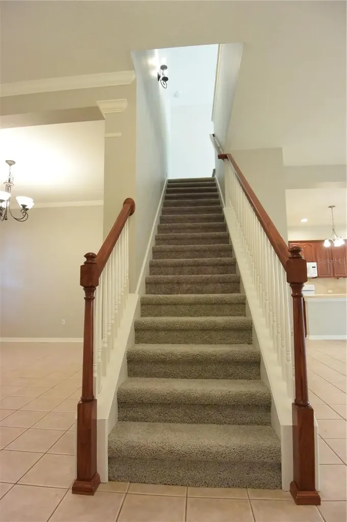 7015 Cardinalwood Lane Land O Lakes FL 34637