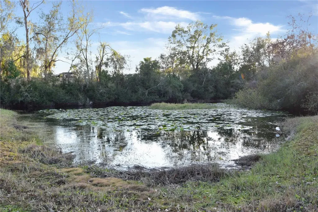 7015 Cardinalwood Lane Land O Lakes FL 34637