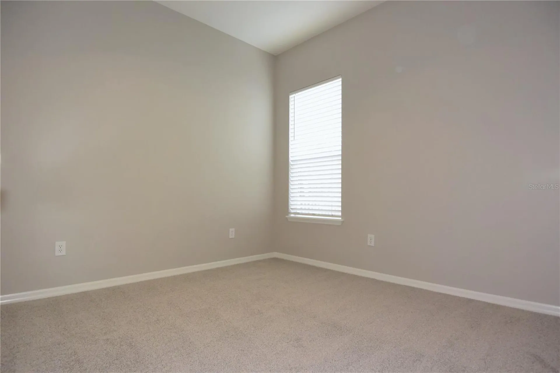 7015 Cardinalwood Lane Land O Lakes FL 34637