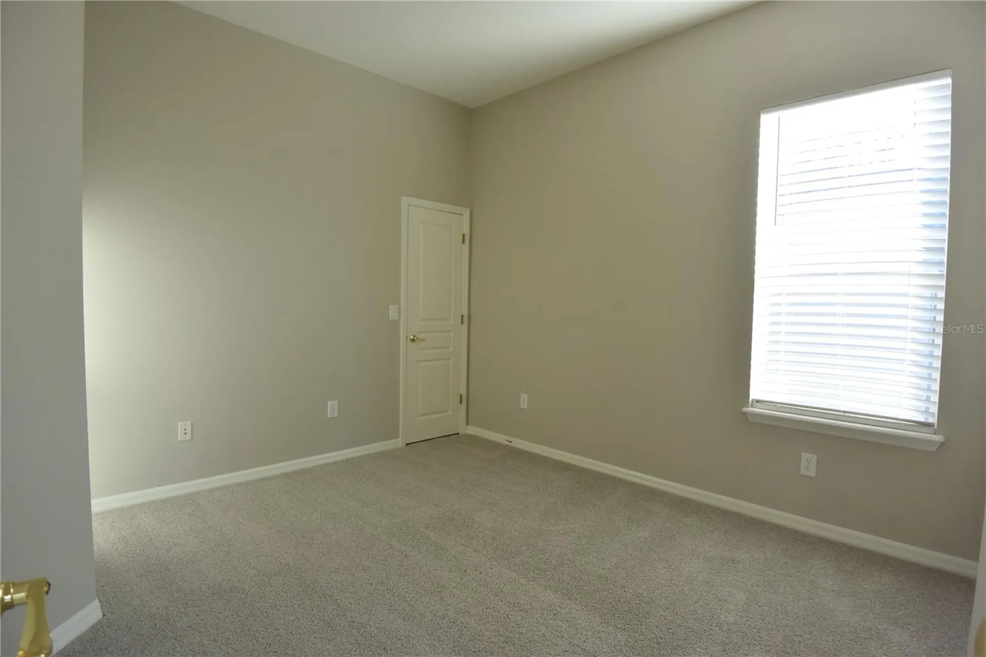 7015 Cardinalwood Lane Land O Lakes FL 34637