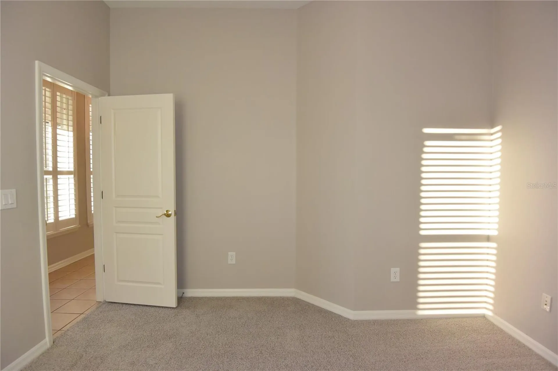 7015 Cardinalwood Lane Land O Lakes FL 34637