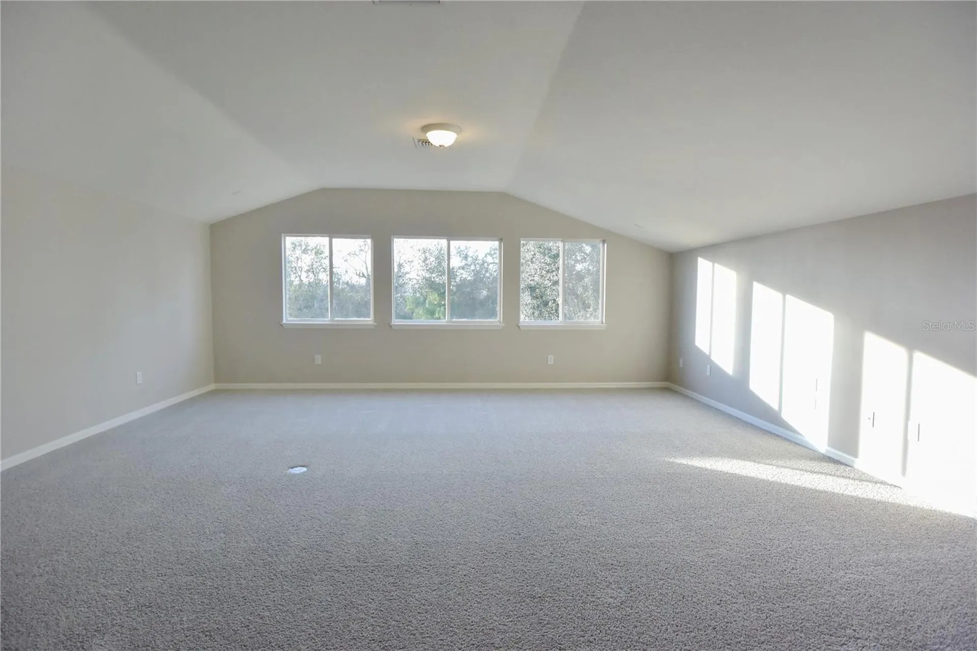 7015 Cardinalwood Lane Land O Lakes FL 34637