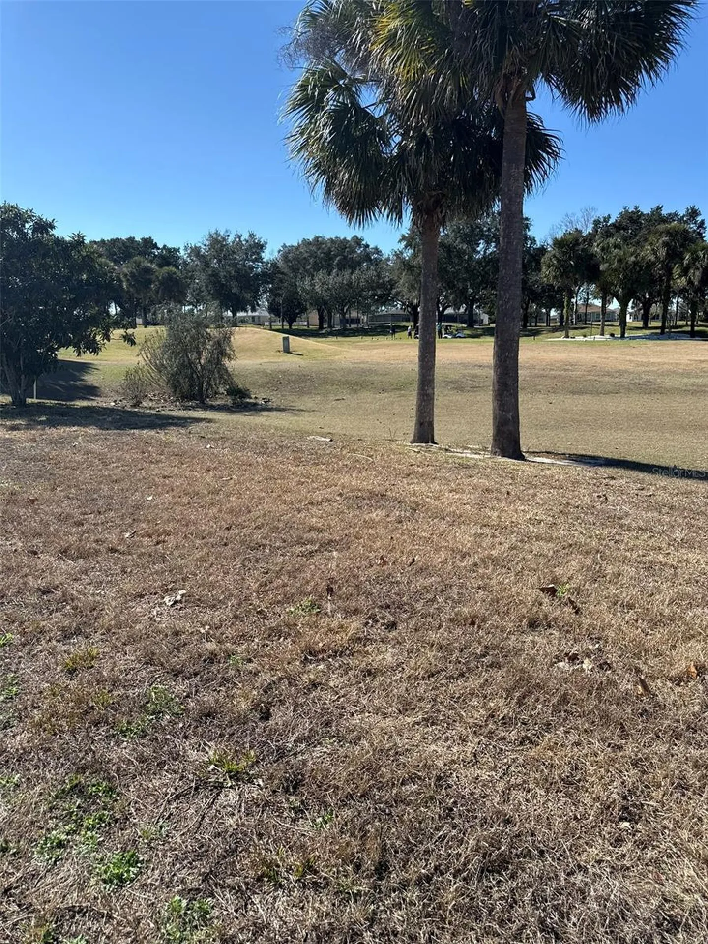 15566 SW 11th Terrace Road Ocala FL 34473