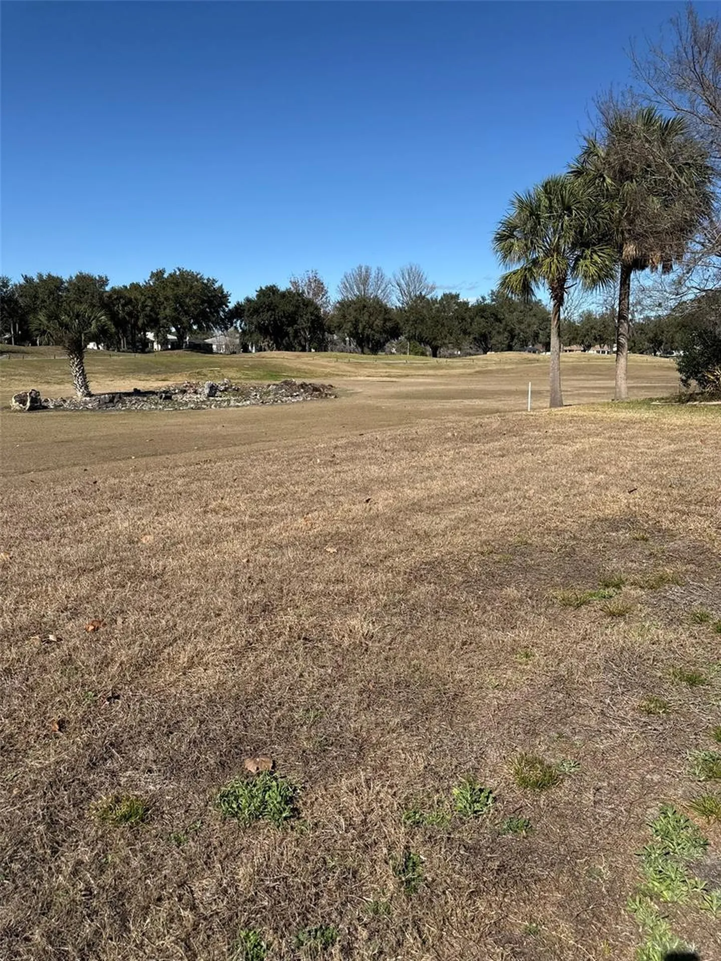 15566 SW 11th Terrace Road Ocala FL 34473