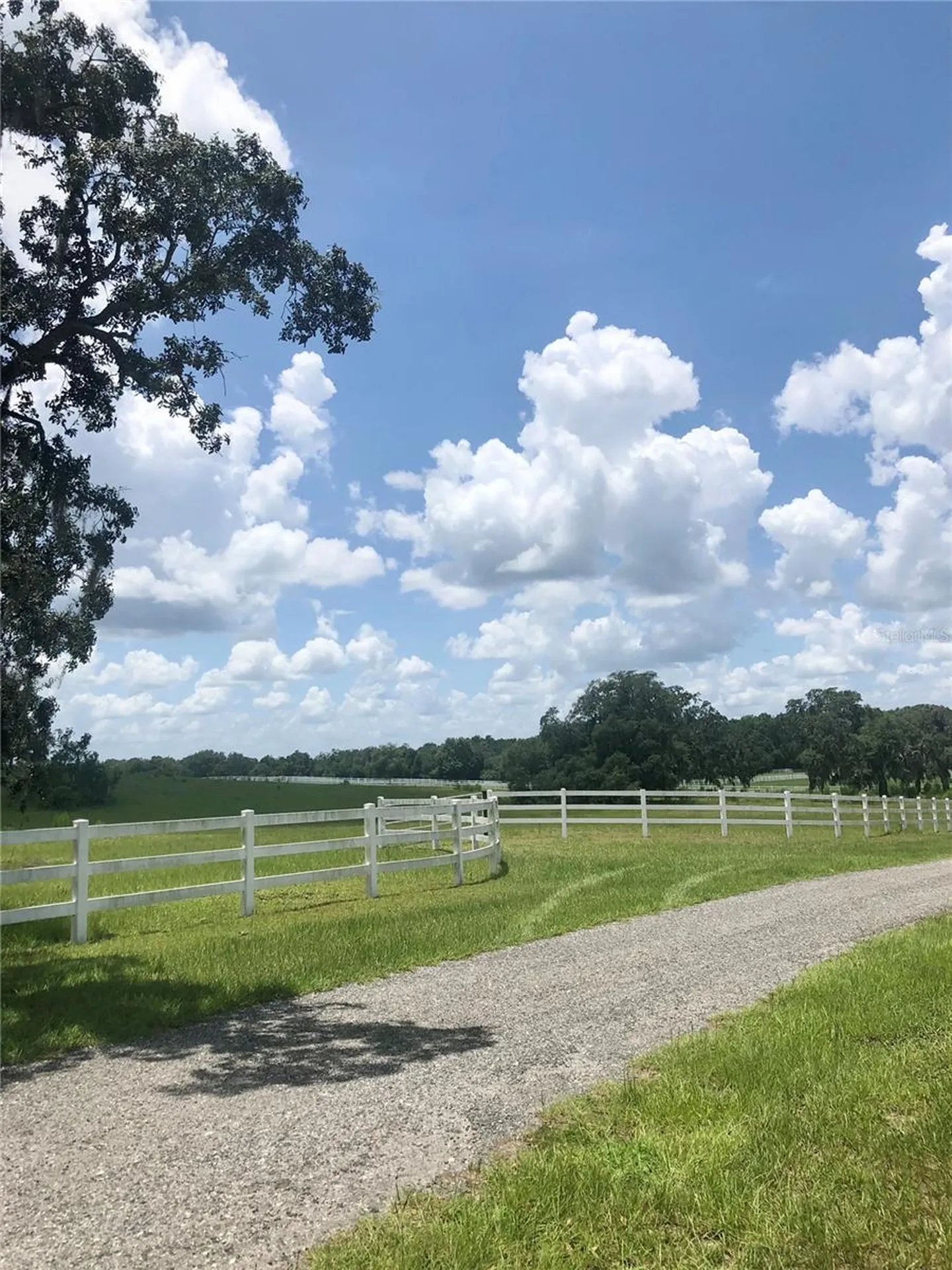 14 Eagle Ridge Bushnell FL 33513