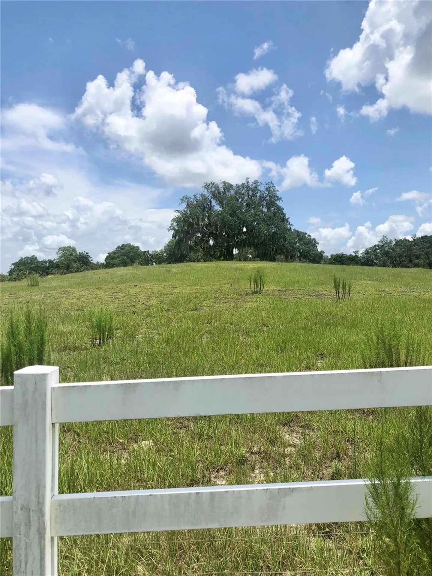 14 Eagle Ridge Bushnell FL 33513
