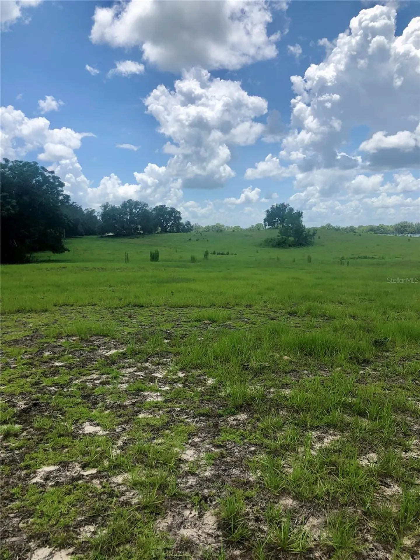 14 Eagle Ridge Bushnell FL 33513