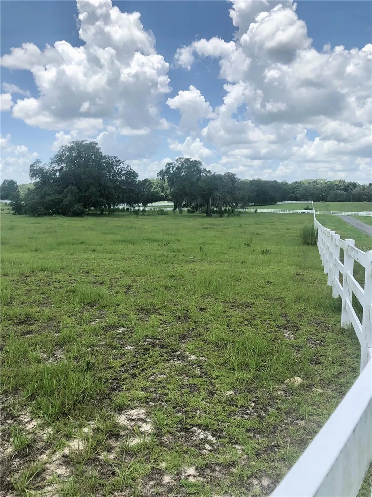 14 Eagle Ridge Bushnell FL 33513
