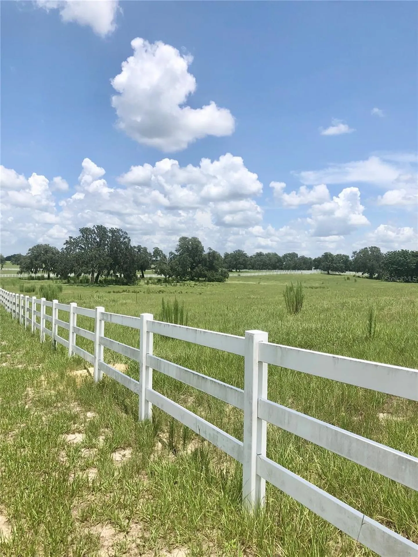 14 Eagle Ridge Bushnell FL 33513