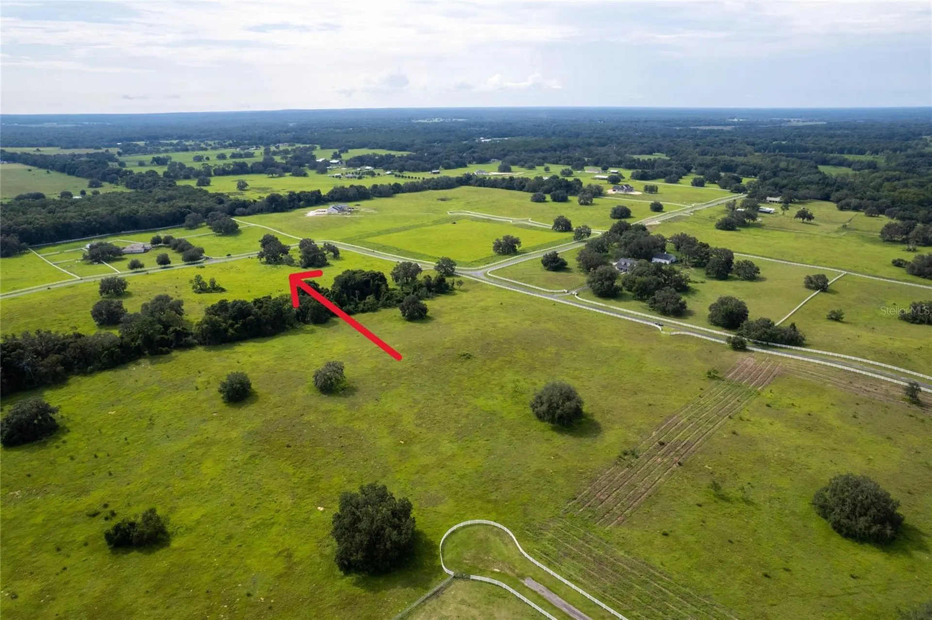 14 Eagle Ridge Bushnell FL 33513