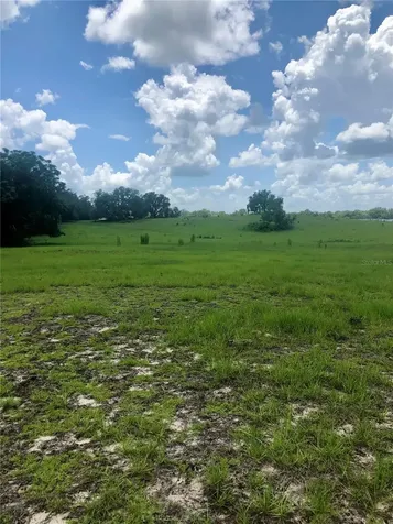 14 Eagle Ridge Bushnell FL 33513